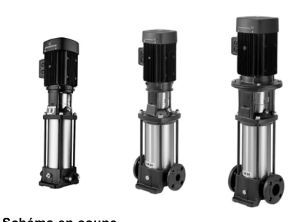 SINES - pompe centrifuge verticale Grundfos CR 3