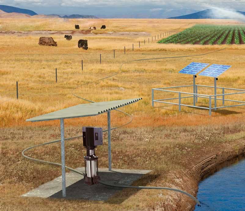 Station d'abreuvement solaire autonome : panneaux, pompe et abreuvoir en prairie