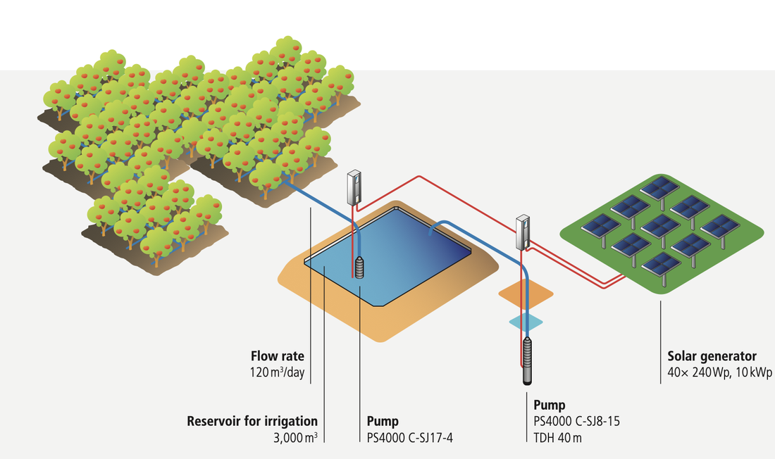 Sch&eacute;ma d'une ferme irrigu&eacute;e sans diesel : forage, r&eacute;servoir et goutte-&agrave;-goutte aliment&eacute;s au solaire